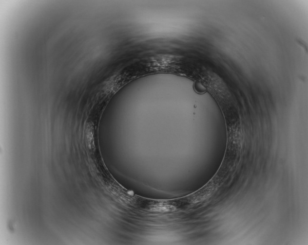 X0000097510754200802291618