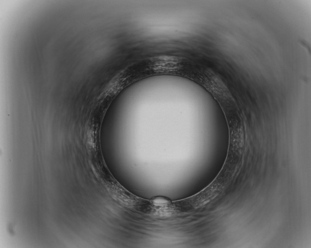 X0000097510755200802291618