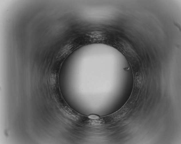 X0000097510756200802291618