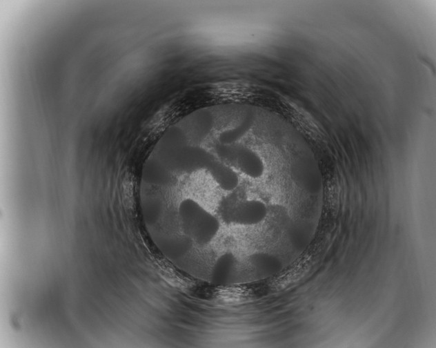 X0000097510757200802291618