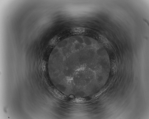 X0000097510758200802291618