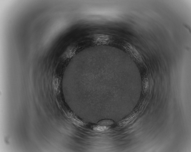 X0000097510759200802291618