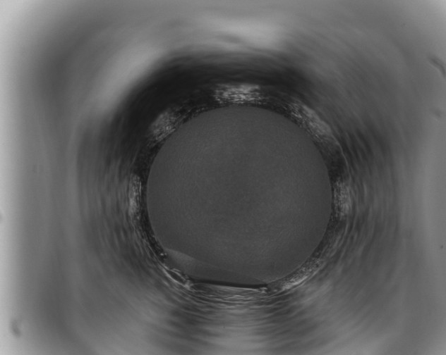 X0000097510760200802291618