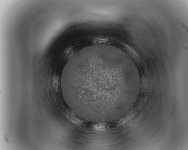 X0000097510761200802291618