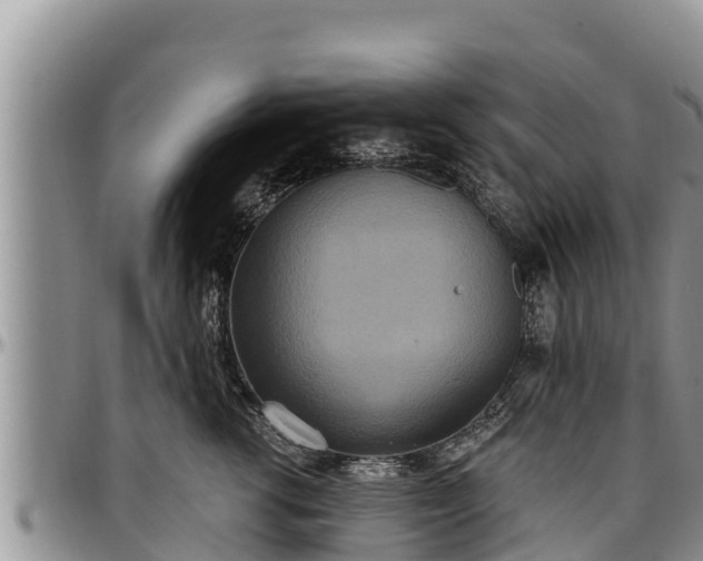 X0000097510762200802291618