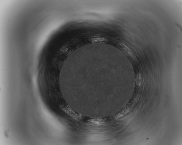 X0000097510763200802291618