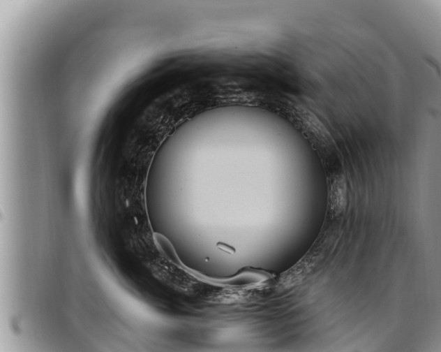 X0000097510764200802291618