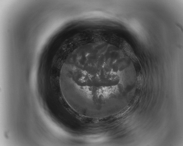 X0000097510765200802291619