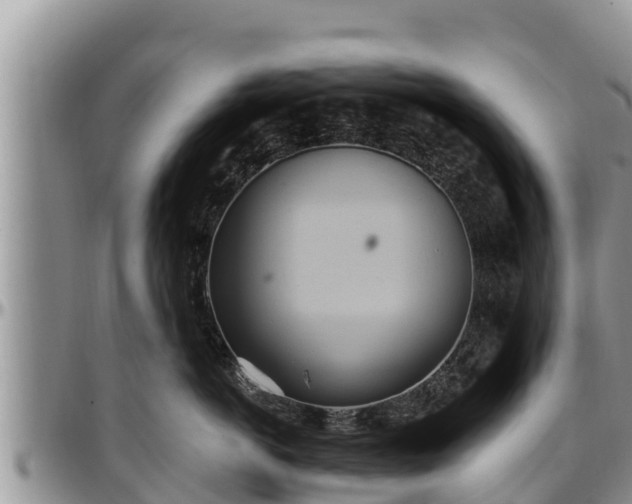 X0000097510766200802291619