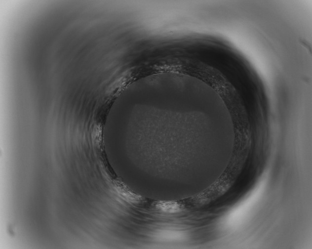 X0000097510767200802291619