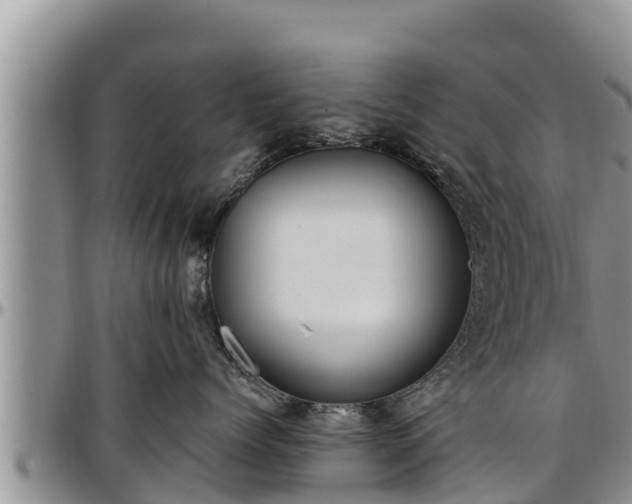 X0000097510768200802291619