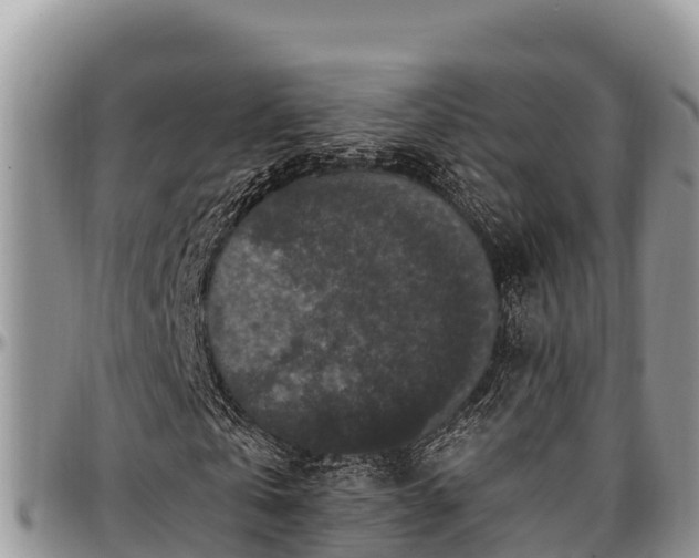 X0000097510769200802291618