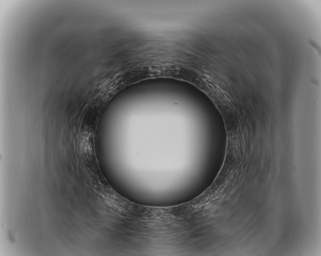 X0000097510770200802291618