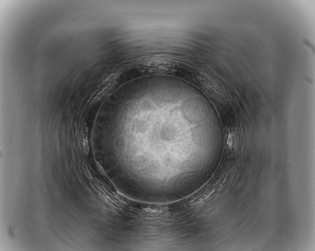 X0000097510771200802291618