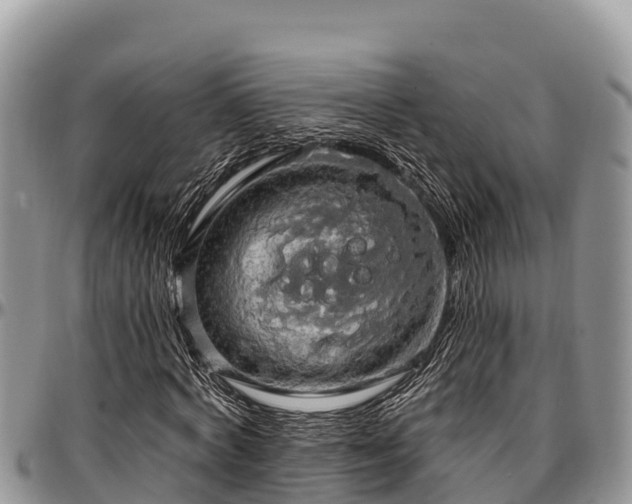 X0000097510772200802291618