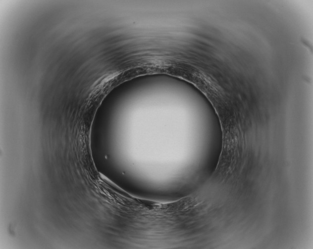 X0000097510773200802291618