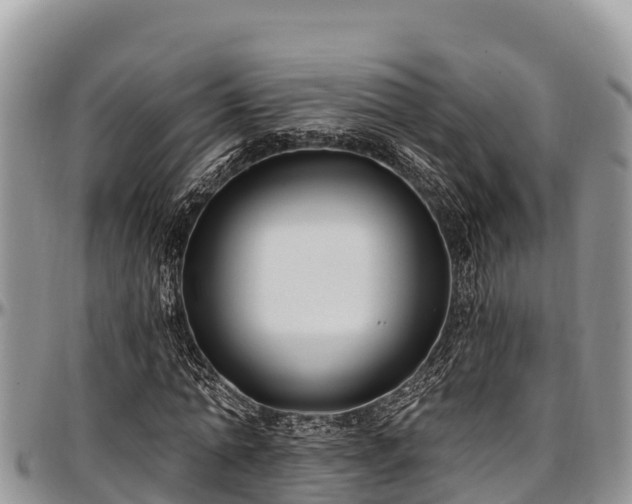 X0000097510774200802291618