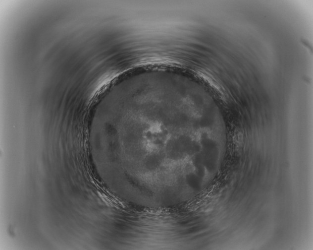 X0000097510775200802291618