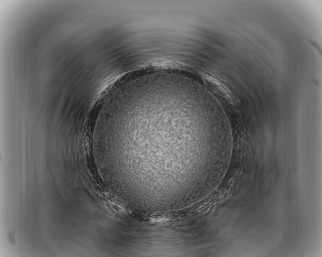 X0000097510776200802291618