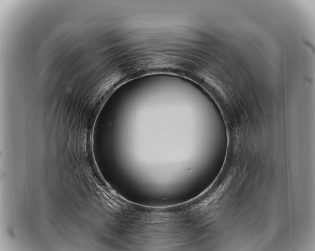 X0000097510777200802291618