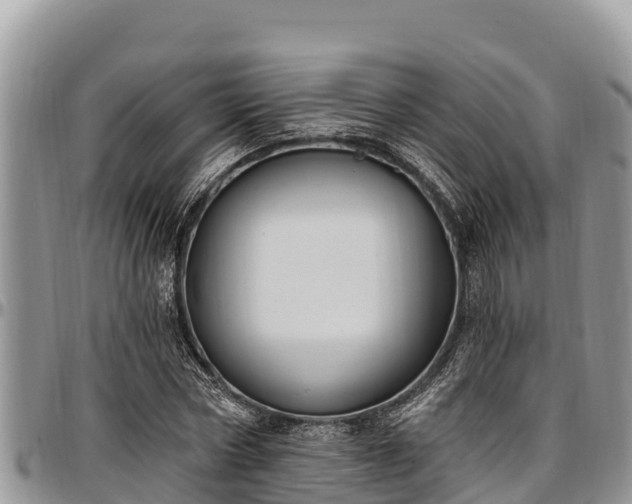 X0000097510778200802291618