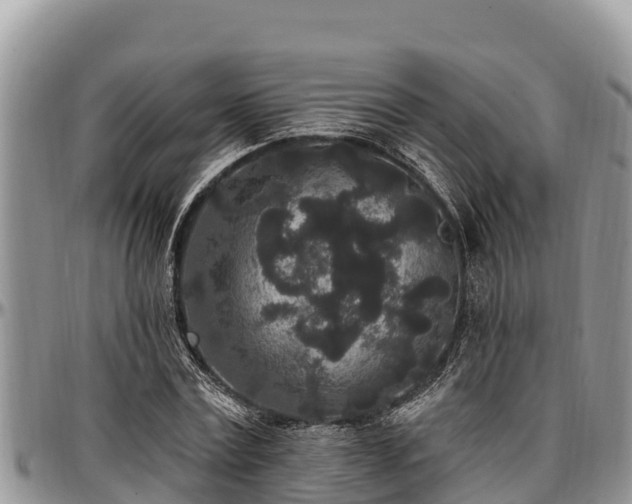 X0000097510779200802291618