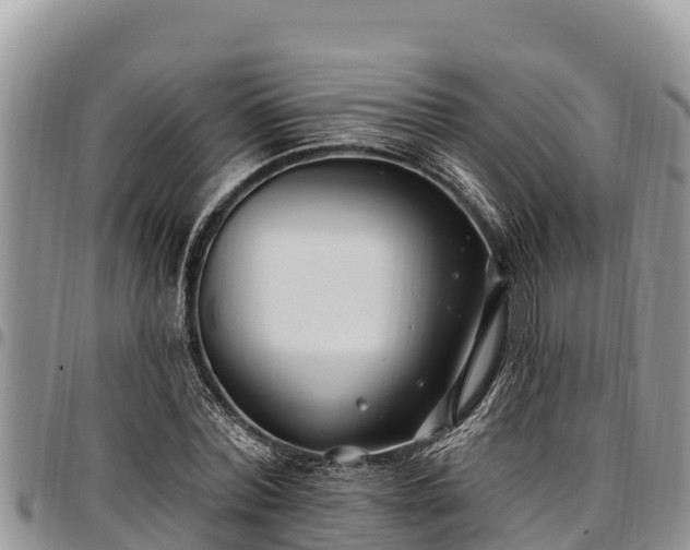 X0000097510780200802291618