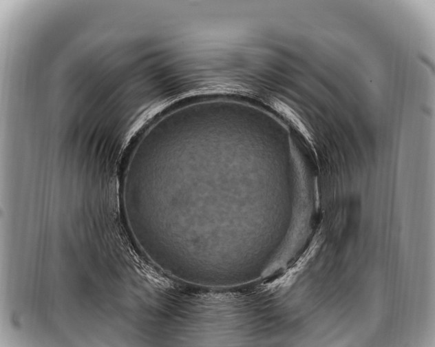 X0000097510781200802291618