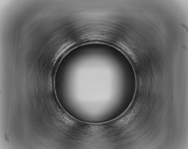 X0000097510782200802291618