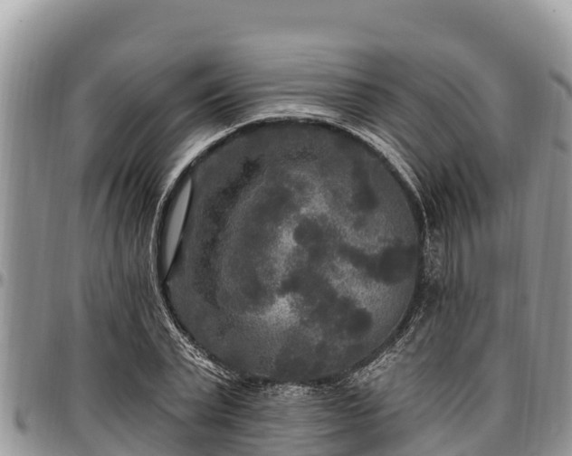 X0000097510783200802291618