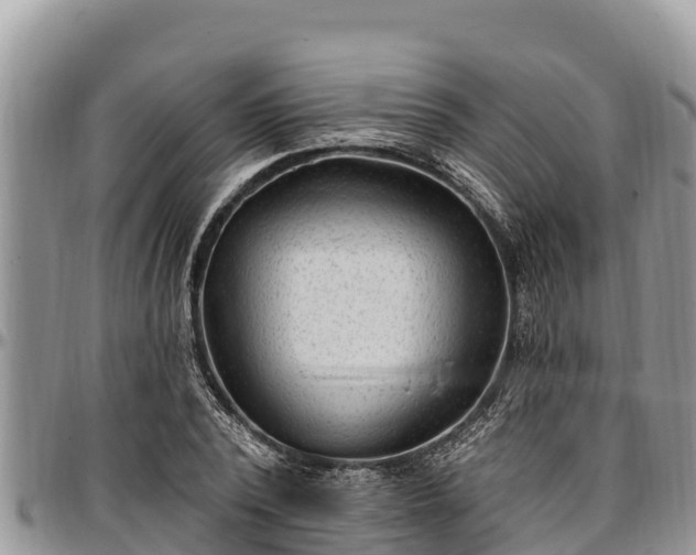 X0000097510784200802291618