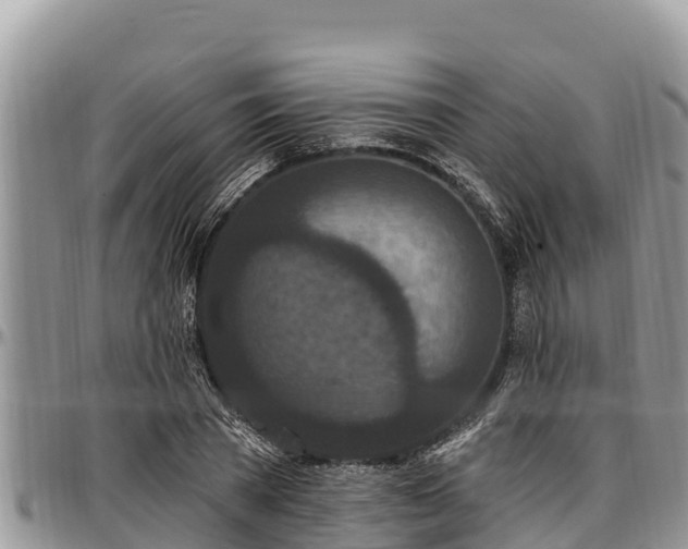 X0000097510785200802291618