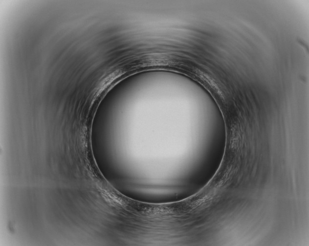 X0000097510786200802291618