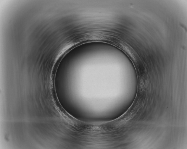 X0000097510787200802291618