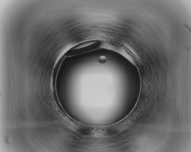 X0000097510788200802291618