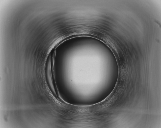 X0000097510789200802291618