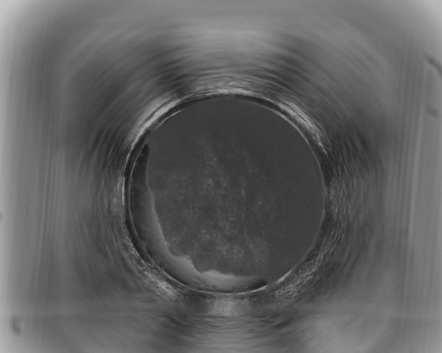 X0000097510790200802291618