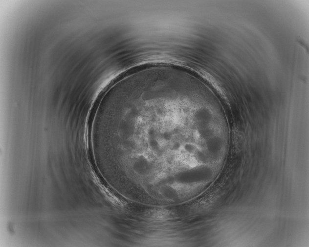 X0000097510791200802291618