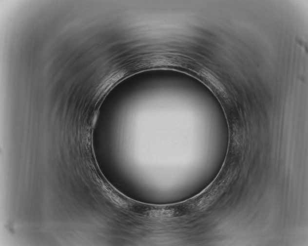 X0000097510793200802291618