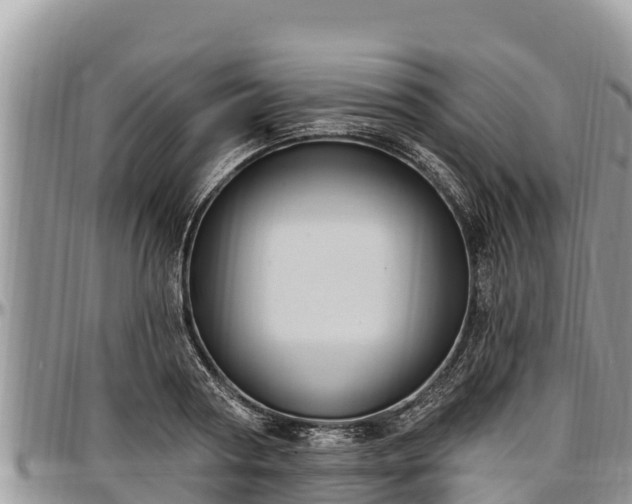 X0000097510794200802291618