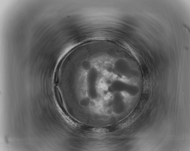 X0000097510795200802291618