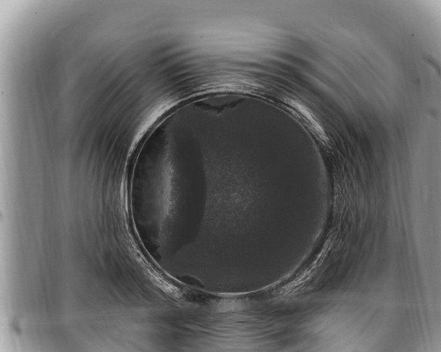 X0000097510796200802291618