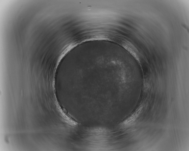 X0000097510797200802291618