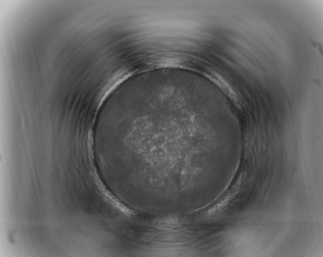 X0000097510798200802291618