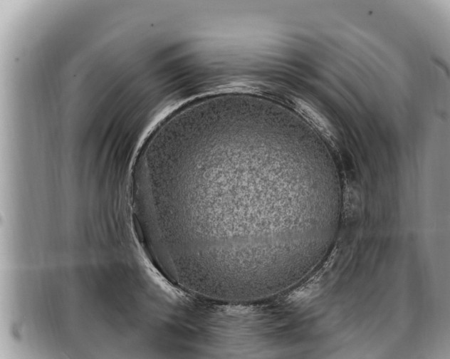 X0000097510800200802291618