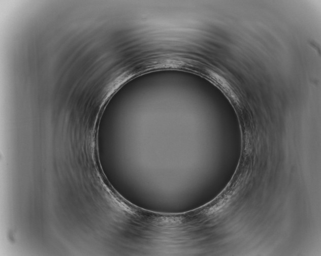 X0000097510802200802291618