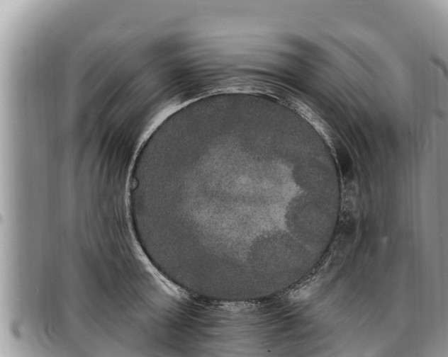 X0000097510803200802291618