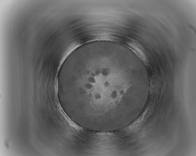 X0000097510804200802291617