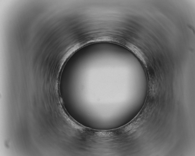 X0000097510805200802291617