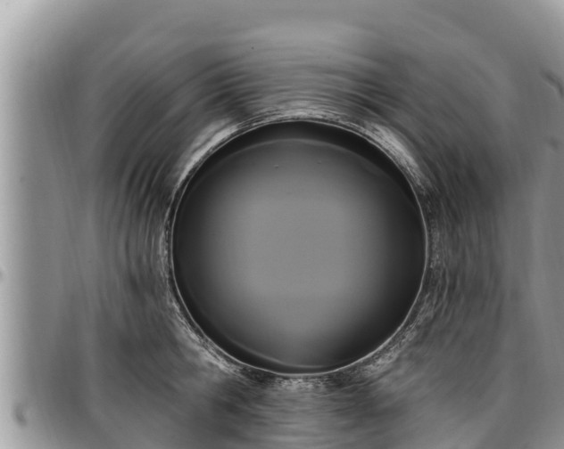 X0000097510806200802291617